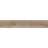 Ocean Quercia
